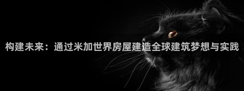 威九国际官网版：构建未来：通过米加世界房屋建造全球建筑梦想与实践