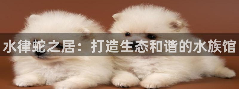 威九国际最近的视频：水律蛇之居：打造生态和谐的水族馆