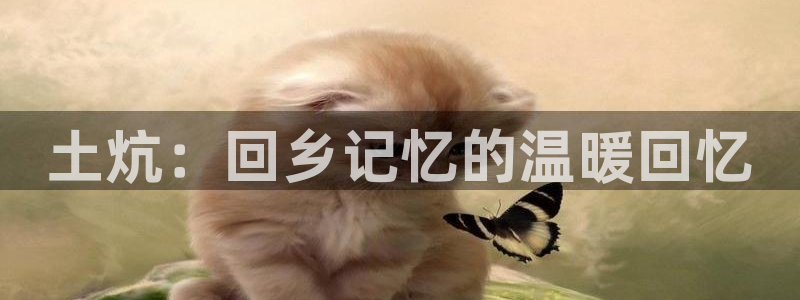 威九国际网站进入产品中心：土炕：回乡记忆的温暖回忆