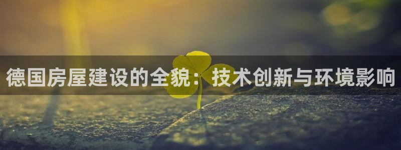 威九国际78m小说：德国房屋建设的全貌：技术创新与环境影响