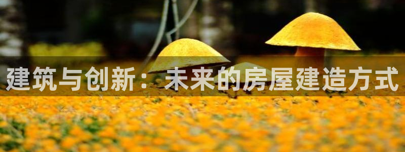 威九国际Info：建筑与创新：未来的房屋建造方式