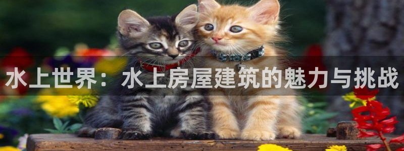 威九国际HP：水上世界：水上房屋建筑的魅力与挑战
