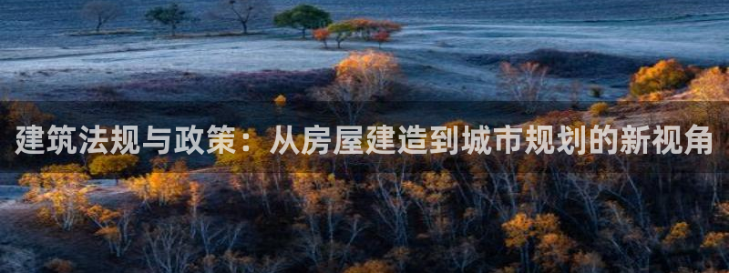 威九国际官网版下载：建筑法规与政策：从房屋建造到城市规划的新视角