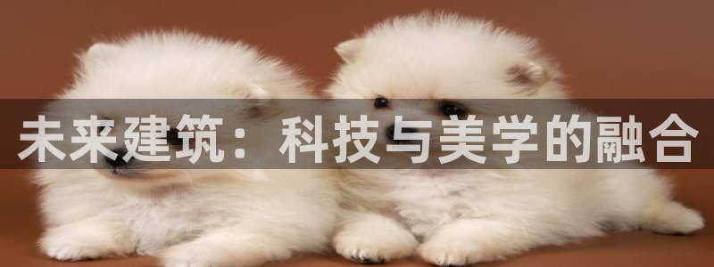 威九国际的女主：未来建筑：科技与美学的融合