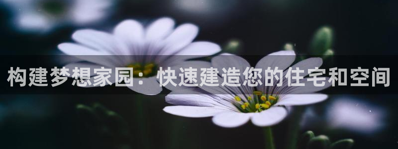 威九国际78m78下载：构建梦想家园：快速建造您的住宅和空间