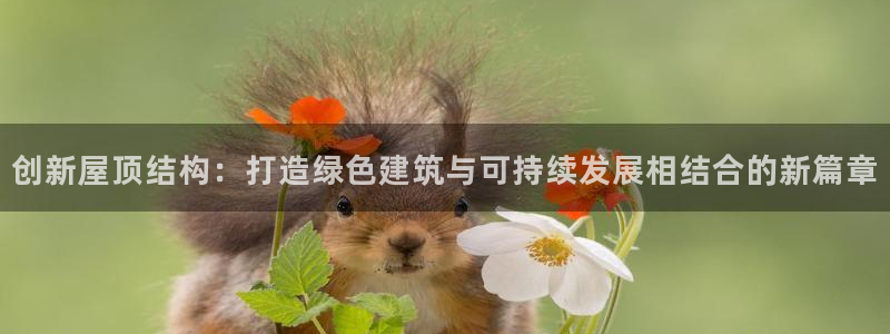 威九国际H：创新屋顶结构：打造绿色建筑与可持续发展相结合的新篇章