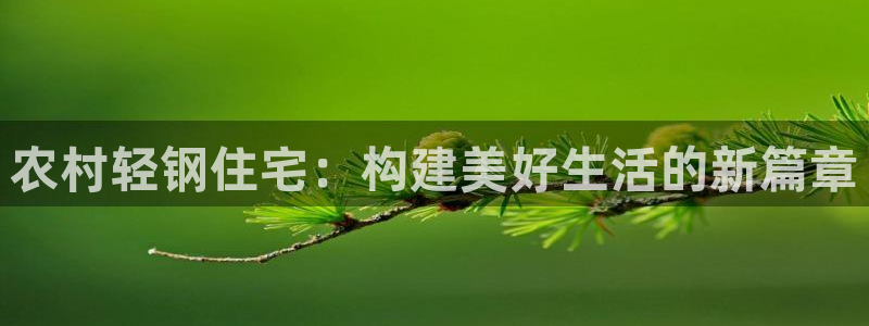 威九国际精忐：农村轻钢住宅：构建美好生活的新篇章