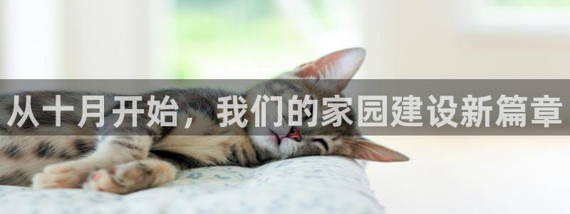 威九国际精：从十月开始，我们的家园建设新篇章