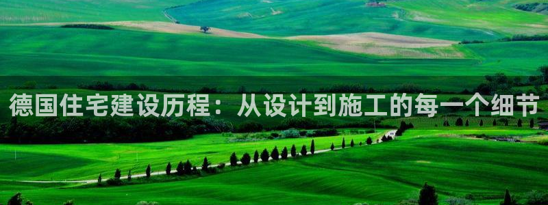 威九国际网站怎么样可靠吗：德国住宅建设历程：从设计到施工的每一个细节