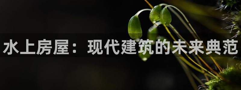 威九国际网站影视：水上房屋：现代建筑的未来典范