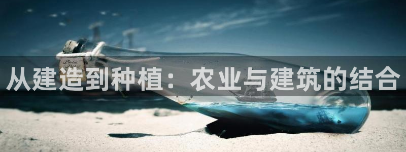 威九国际网站入口地址