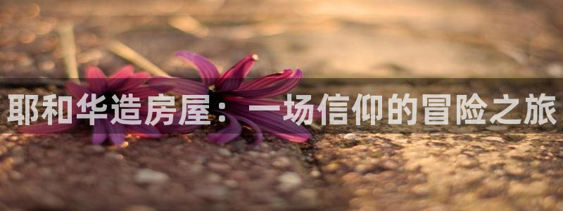 78.m威九国际官网版
