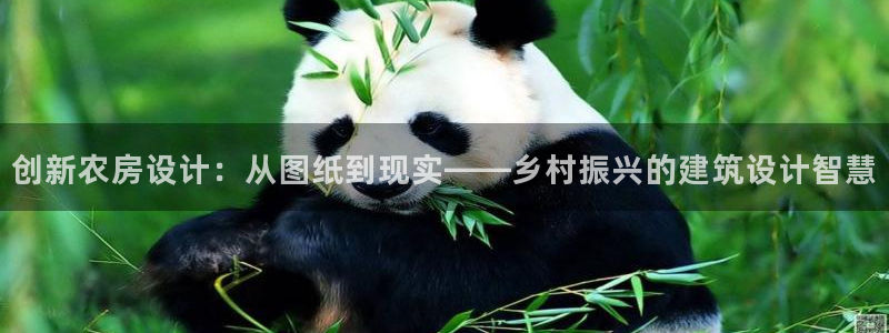 威九国际网站进入客服中心怎么进：创新农房设计：从图纸到现实——乡村振兴的建筑设计智慧