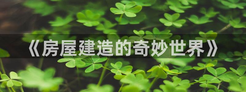 威九国际ppt免费下载网址