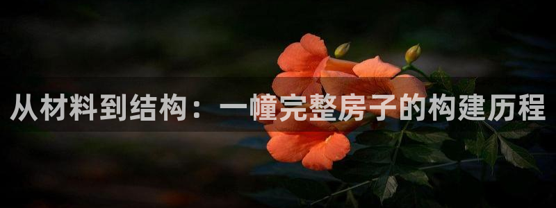 威九国际电影2022年9月月：从材料到结构：一幢完整房子的构建历程