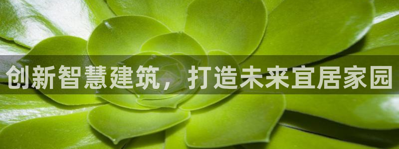 威九国际78mb下载