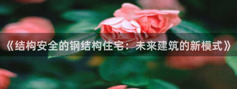 威九国际提款不出来：《结构安全的钢结构住宅：未来建筑的新模式》
