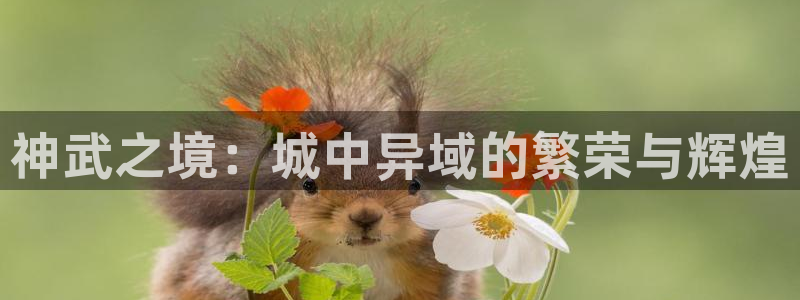 威九国际可以退钱吗怎么退：神武之境：城中异域的繁荣与辉煌