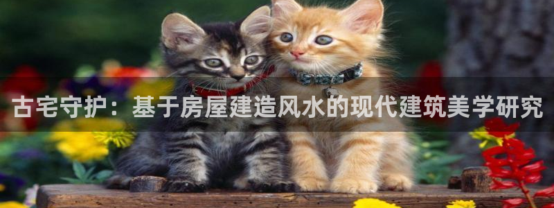 威九国际后爸：古宅守护：基于房屋建造风水的现代建筑美学研究