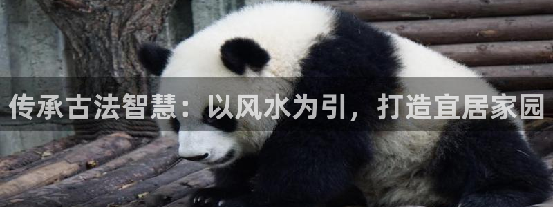 威九国际系列：传承古法智慧：以风水为引，打造宜居家园