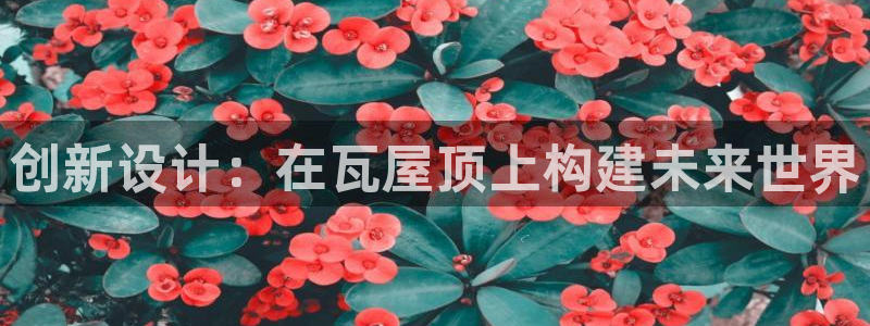 威九国际app网站官网：创新设计：在瓦屋顶上构建未来世界