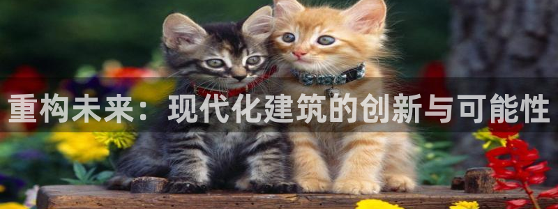 威九国际MV：重构未来：现代化建筑的创新与可能性