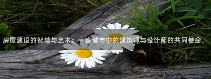 威九国际后爸：房屋建设的智慧与艺术：一座城市中的建筑师与设计师的共同使命。