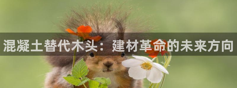 威九国际w98：混凝土替代木头：建材革命的未来方向