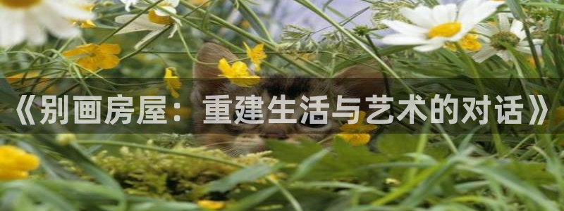 威九国际网站进入(中国)有限公司-官网：《别画房屋：重建生活与艺术的对话》