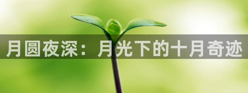 78mapp威九国际人民网：月圆夜深：月光下的十月奇迹