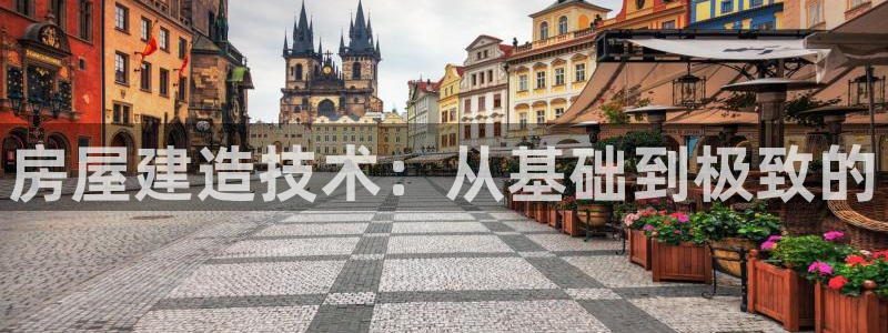 威九国际精免费下载：房屋建造技术：从基础到极致的