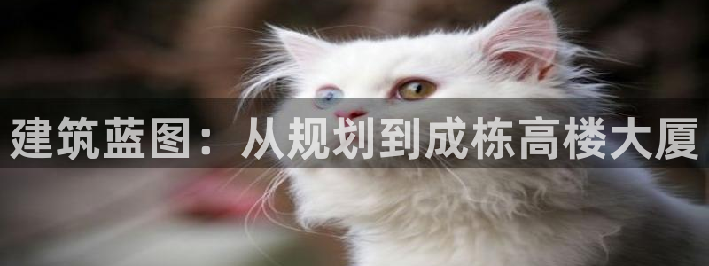 威九国际78mob游戏说明：建筑蓝图：从规划到成栋高楼大厦