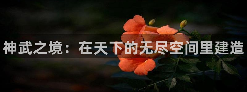 威九国际ft：神武之境：在天下的无尽空间里建造