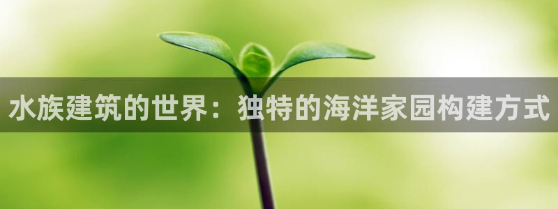 威九国际在哪里：水族建筑的世界：独特的海洋家园构建方式