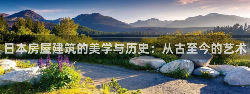 威九国际网站在哪里：日本房屋建筑的美学与历史：从古至今的艺术