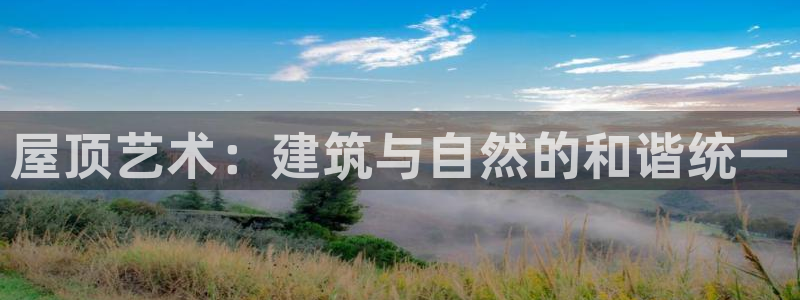 威九国际犯法吗：屋顶艺术：建筑与自然的和谐统一