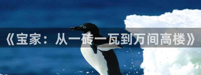 威九国际精彩视频2022年：《宝家：从一砖一瓦到万间高楼》