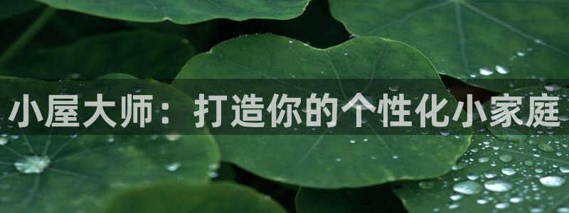 威九国际网站入口rdquo：小屋大师：打造你的个性化小家庭