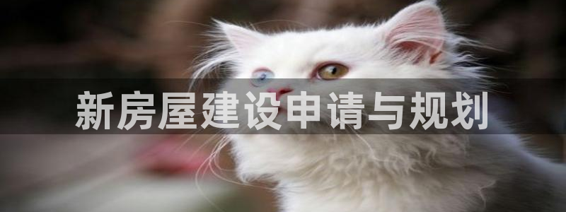 威九国际网站客服电话多少号：新房屋建设申请与规划