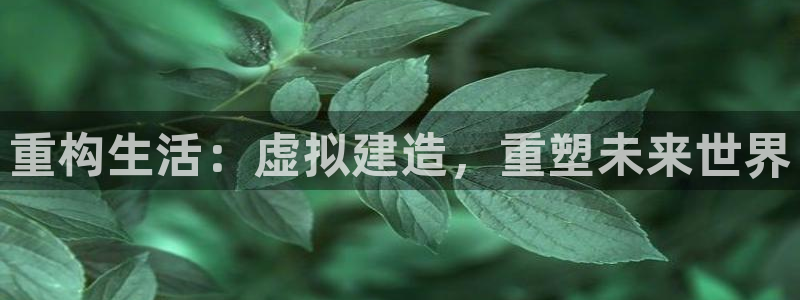 威九国际精免费下载：重构生活：虚拟建造，重塑未来世界