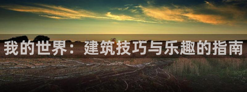 威九国际app网站安全吗：我的世界：建筑技巧与乐趣的指南