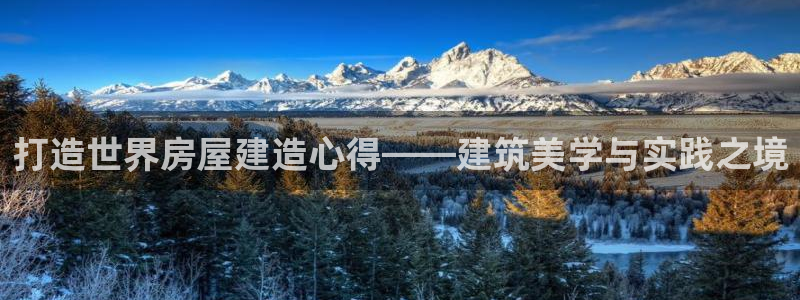 威九国际app客服电话号码：打造世界房屋建造心得——建筑美学与实践之境