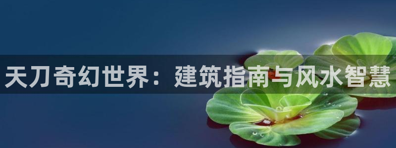 威九国际免费网络站：天刀奇幻世界：建筑指南与风水智慧