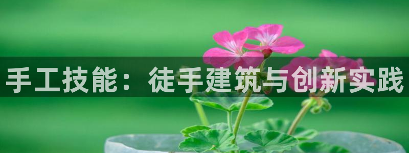 威九国际78app：手工技能：徒手建筑与创新实践