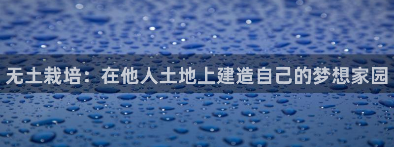 威九国际坑人的嘛：无土栽培：在他人土地上建造自己的梦想家园
