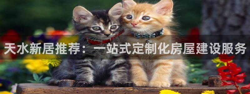 威九国际正规吗：天水新居推荐：一站式定制化房屋建设服务