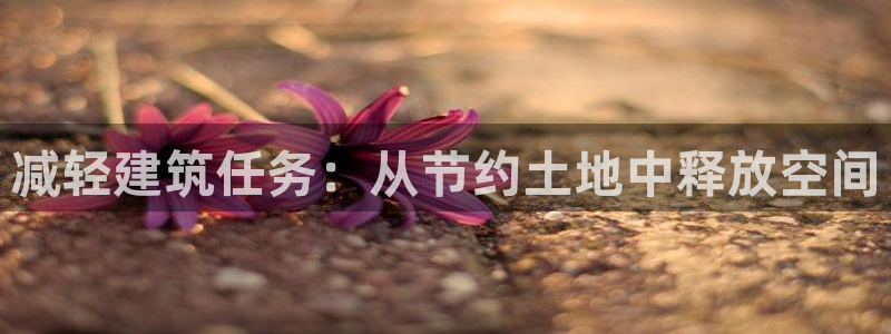 威九国际78cm：减轻建筑任务：从节约土地中释放空间