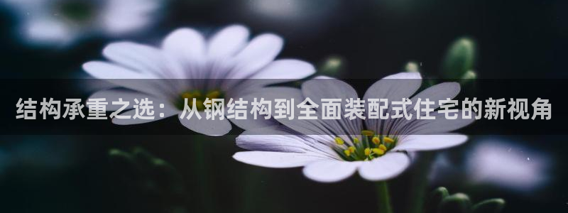 威九国际最受欢迎的功能：结构承重之选：从钢结构到全面装配式住宅的新视角