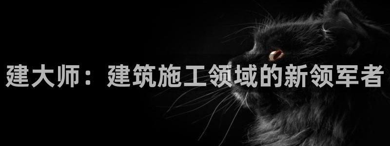 78mapp威九国际神曲口服液：建大师：建筑施工领域的新领军者