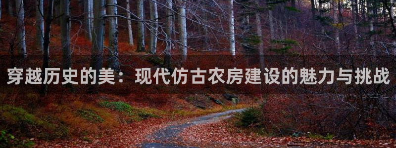 威九国际系列：穿越历史的美：现代仿古农房建设的魅力与挑战